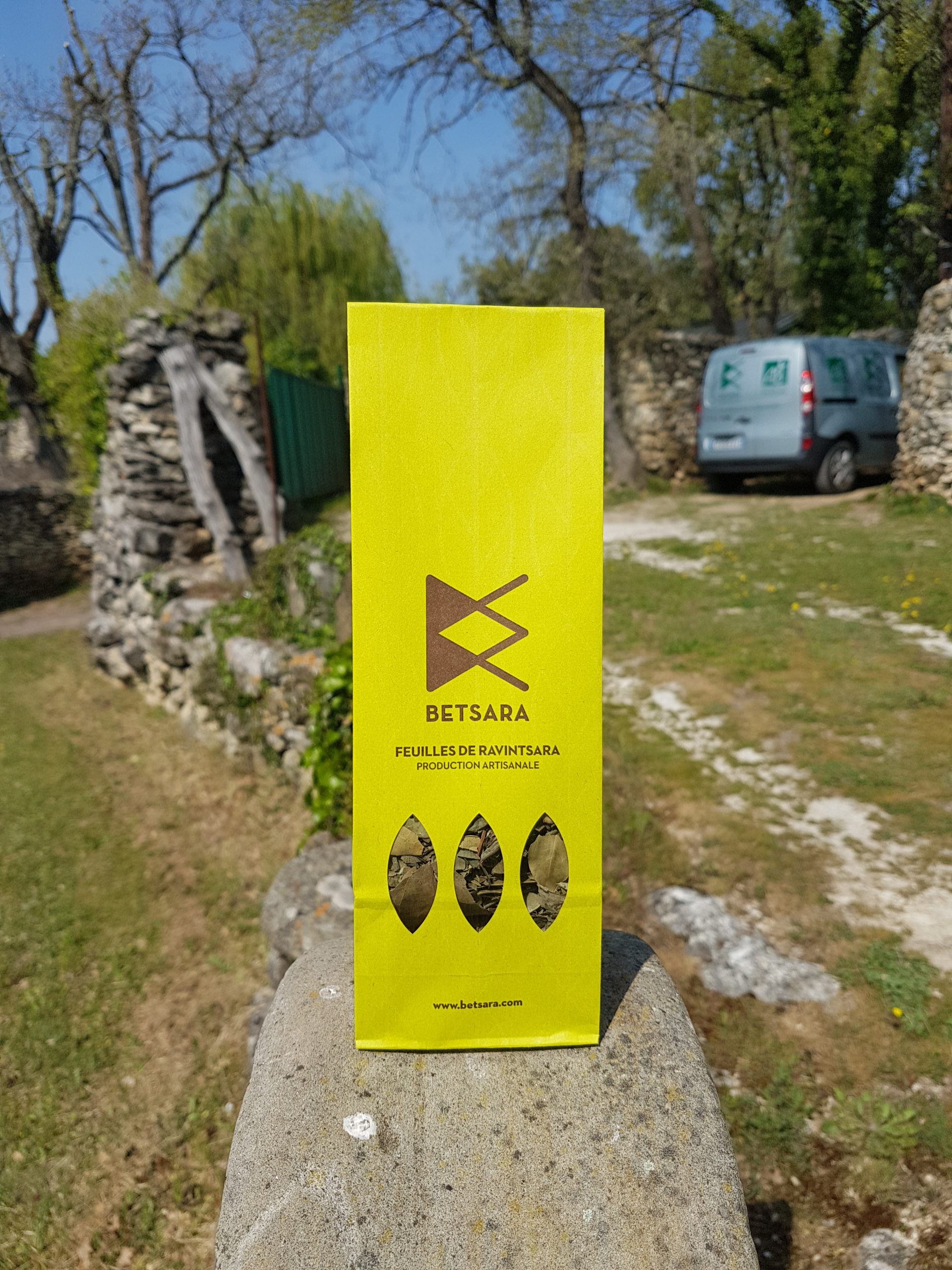 Ravintsara Leaves 50gr Organic · Ecocert Certified · FR-BIO-01 - Image 2