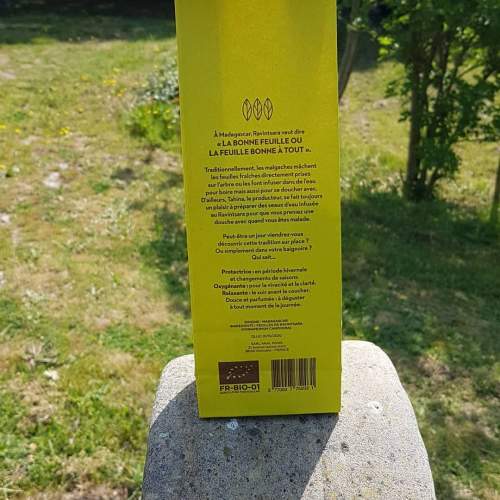 Ravintsara Leaves 50gr Organic · Ecocert Certified · FR-BIO-01 - Image 4