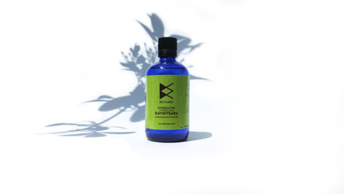 Hydrolat de ravintsara 100ml certifié bio par Ecocert FR-BIO-01
