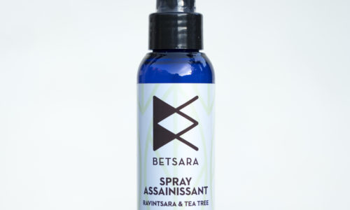 Spray assainissant-format 100ml