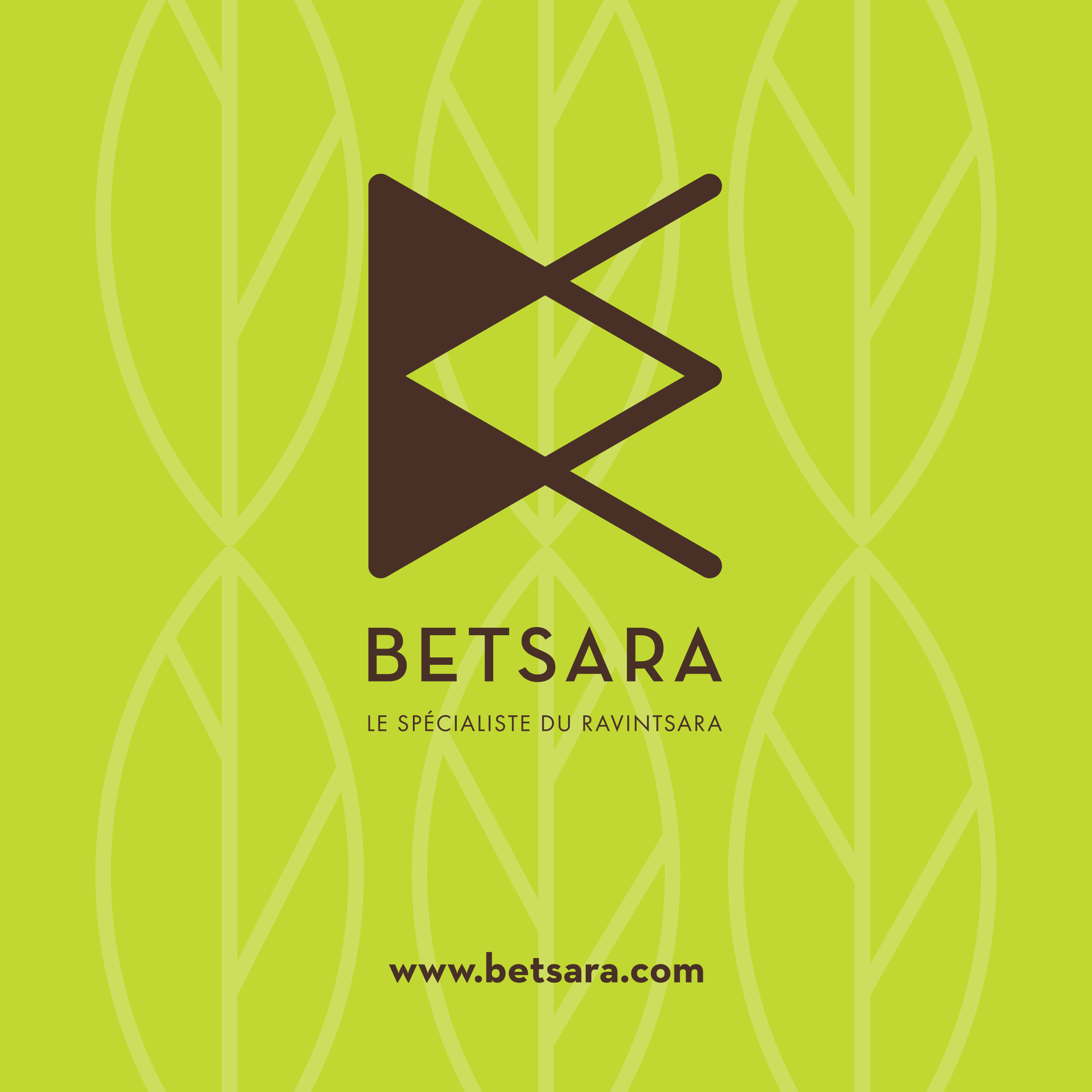 Betsara logo